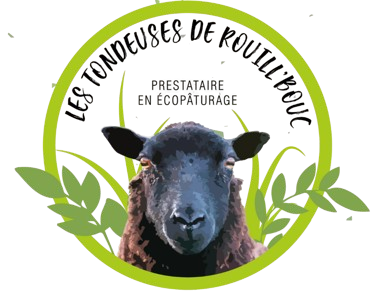Logo du projet